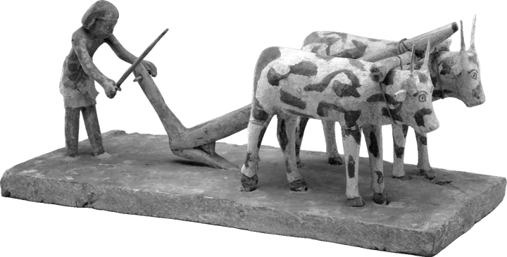 An ancient model of a man plowing with oxen